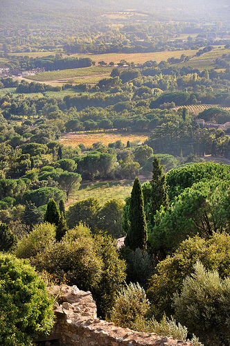 Vue depuis le château - Grimaud par Charlottess