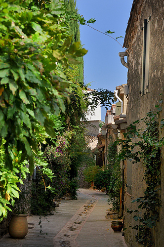 Verdure - Grimaud par Charlottess