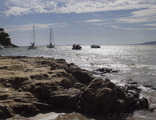 Plage de L'Eoube dans le var. by fredomarseille