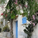 Ruelle fleurie à Hyères par mistinguette18 - Hyères 83400 Var Provence France