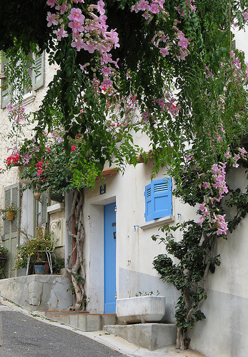 Ruelle fleurie à Hyères par mistinguette18