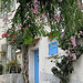 Ruelle fleurie à Hyères par mistinguette18 - Hyères 83400 Var Provence France