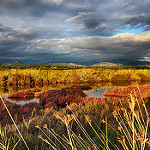 Les Salins Hyères les Palmiers par GERARD MARSOL - Hyères 83400 Var Provence France