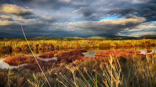 Les Salins Hyères les Palmiers by GERARD MARSOL