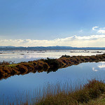 Salin des Pesquiers - Presqu'île de Giens (83) by Charlottess - Hyères 83400 Var Provence France