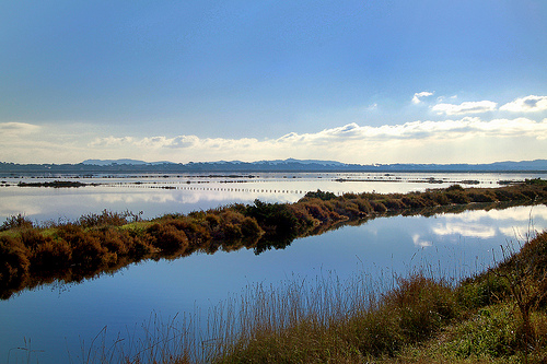 Salin des Pesquiers - Presqu'île de Giens (83) par Charlottess