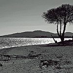 Plage de sable à Hyères by Babaou - Hyères 83400 Var Provence France