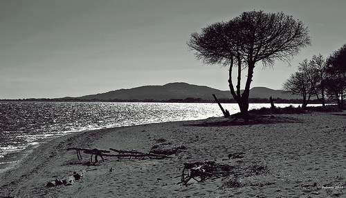 Plage de sable à Hyères by Babaou