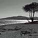 Plage de sable à Hyères par Babaou - Hyères 83400 Var Provence France