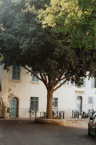 Ambiance à Hyères par Petrana Sekula