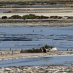 Salins des Pesquiers - Giens par Babaou - La Capte 83400 Var Provence France