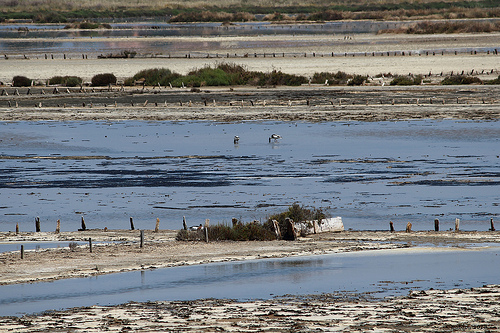 Salins des Pesquiers - Giens by Babaou