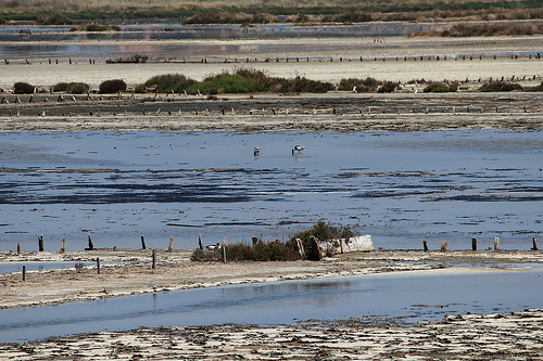 Salins des Pesquiers - Giens par Babaou