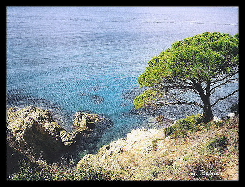 Côte d'Azur - Cap Lardier by g_dubois_fr