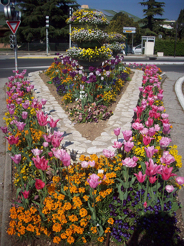 Massif floral. La Garde, Var. by Only Tradition