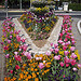 Massif floral. La Garde, Var. par Only Tradition - La Garde 83130 Var Provence France