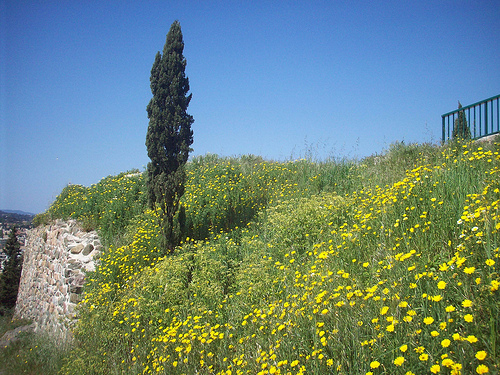 Vieille Garde, le Rocher. La Garde, Var. par Only Tradition