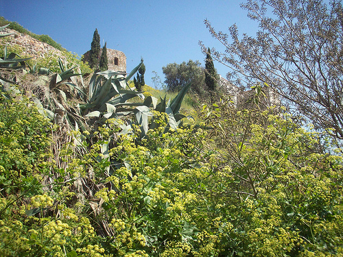 Le Rocher. La Garde, Var. by Only Tradition