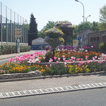 Massif floral. La Garde, Var. par Only Tradition - La Garde 83130 Var Provence France