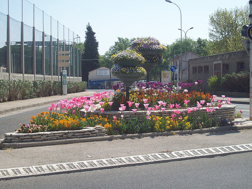 Massif floral. La Garde, Var. par Only Tradition