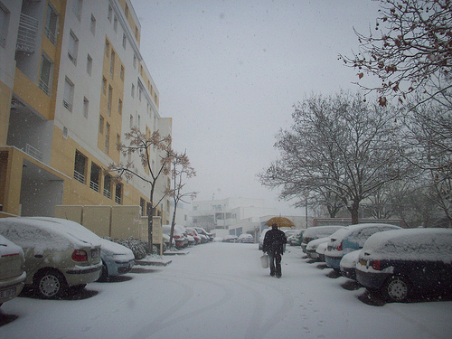 Neige sur le Var. La Garde by Only Tradition