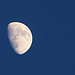 La lune vu de Provence par Babaou - La Londe les Maures 83250 Var Provence France