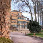 Château d'Esclans - Exceptional vineyard in Provence by Belles Images by Sandra A. - La Motte 83920 Var Provence France