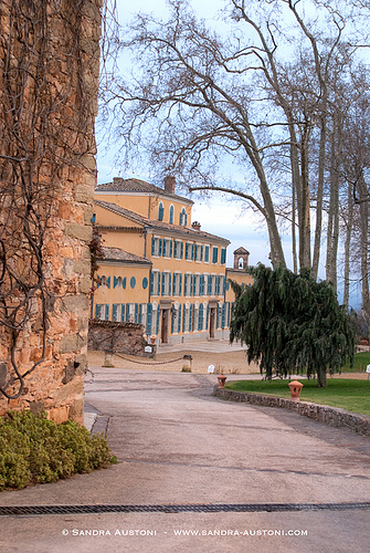 Château d'Esclans - Exceptional vineyard in Provence par Belles Images by Sandra A.