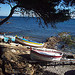 Bateaux en bord de mer, Var. par Only Tradition - La Seyne sur Mer 83500 Var Provence France