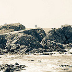 Cote d'azur : Ile du Petit Gaou by Macré stéphane - Le Brusc 83140 Var Provence France