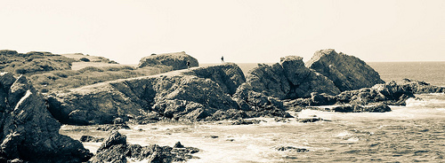 Cote d'azur : Ile du Petit Gaou by Macré stéphane