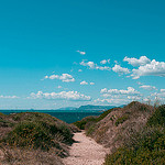 Sentier vers le large by Macré stéphane - Le Brusc 83140 Var Provence France