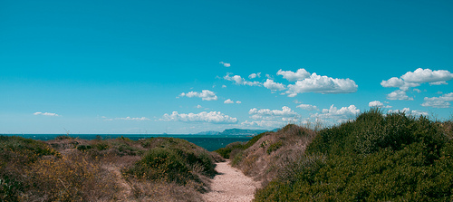 Sentier vers le large par Macré stéphane