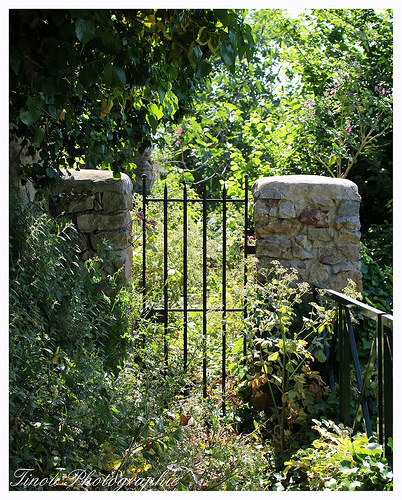 Jardin à l'abandon par Tinou61