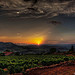 Sunset par Letzia - Le Castellet 83330 Var Provence France