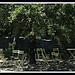 Chaises à l'ombre à l'Abbaye de Thoronet par michel.seguret - Le Thoronet 83340 Var Provence France