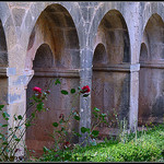 Abbaye du Thoronet par J@nine - Le Thoronet 83340 Var Provence France