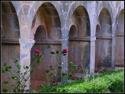 Abbaye du Thoronet by J@nine