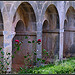 Abbaye du Thoronet par J@nine - Le Thoronet 83340 Var Provence France