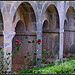 Abbaye du Thoronet by J@nine - Le Thoronet 83340 Var Provence France