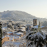 Les Arcs Snowy palm tree (Var) by csibon43 - Les Arcs 83460 Var Provence France