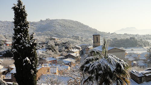 Les Arcs Snowy palm tree (Var) by csibon43