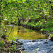 Ambiance printanière - Mazaugues par Charlottess - Mazaugues 83136 Var Provence France