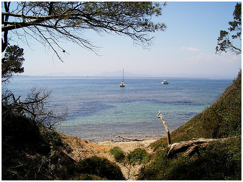 Crique à Porquerolles by michel.seguret