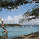 Porquerolles - Plage d'Argent par CME NOW - Porquerolles 83400 Var Provence France