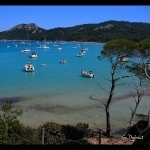 Var - Porquerolles : le paradis accessible qu'en bateau par g_dubois_fr - Porquerolles 83400 Var Provence France