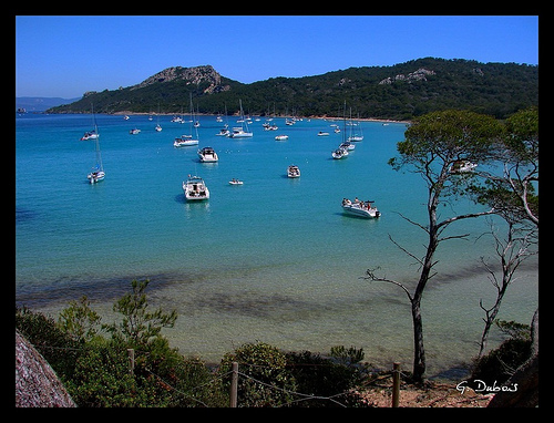 Var - Porquerolles : le paradis accessible qu'en bateau by g_dubois_fr