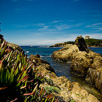 Côte sauvage par Zaskars - Porquerolles 83400 Var Provence France