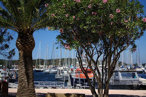 Port de porquerolles by Anhariel