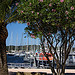 Port de porquerolles par Anhariel - Porquerolles 83400 Var Provence France